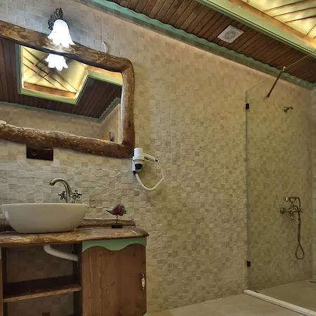 Hotel Elif Stone House