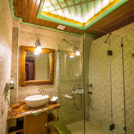Hotel Elif Stone House 3*