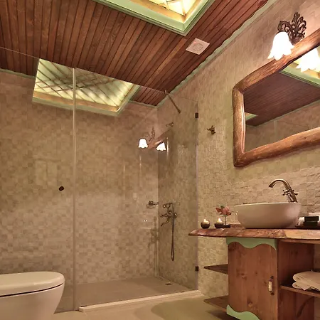 Elif Stone House 3*