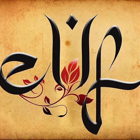 Отель Elif Stone House 3*