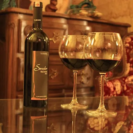 Elif Stone House Urgup
