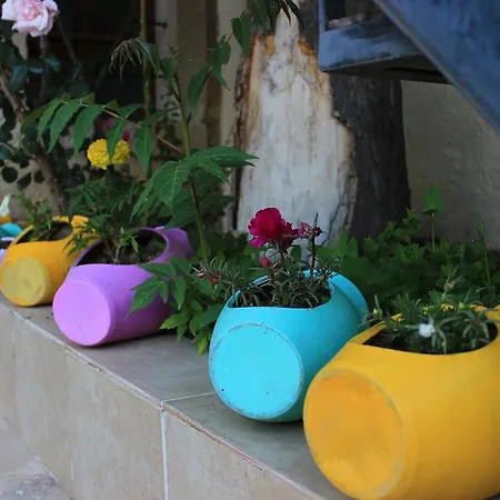 Elif Stone House