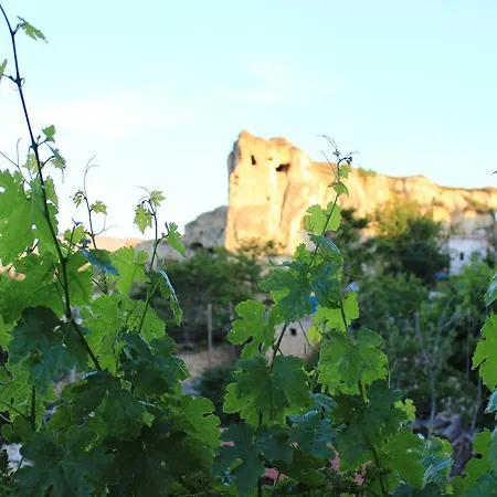 Отель Elif Stone House Ургуп