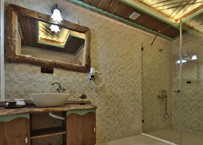 Hotel Elif Stone House