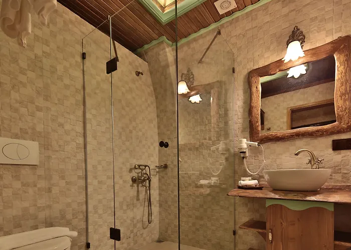 Hotel Elif Stone House 3*