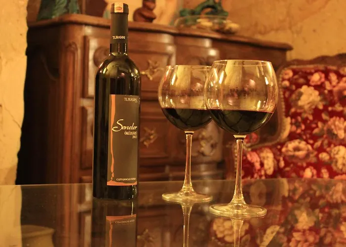 Elif Stone House 어굽